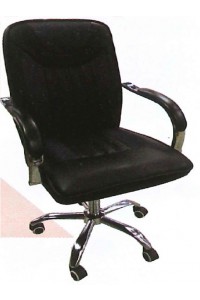 DG/S17,เก้าอี้พนักพิงโพลี,เก้าอี้โพลี,เก้าอี้จัดเลี้ยง,เก้าอี้พนักพิง,เก้าอี้ทรงเอ,เก้าอี้,chair